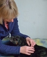 Teasel enjoying kneading movements