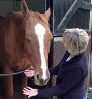 Teddy having a healing session