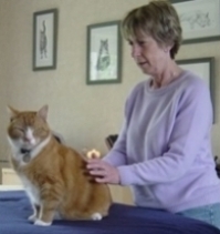 Mickey enjoying a healing session