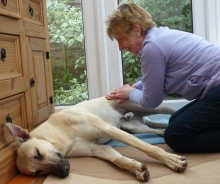 Mr P enjoying a massage