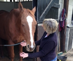 Teddy enjoying healing