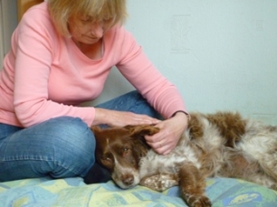 Ear massage for Ruby